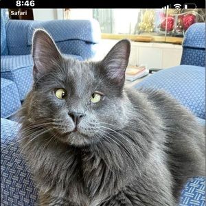 Meet your Posher, Todd